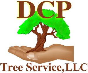 DCP Tree Service, LLC - Home